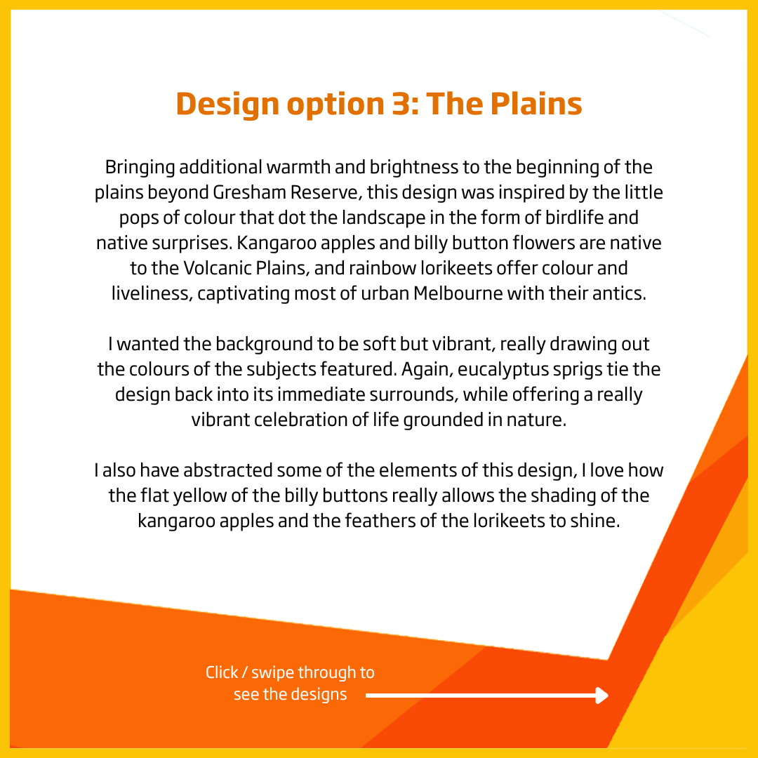 Design Option 3 - The Plains