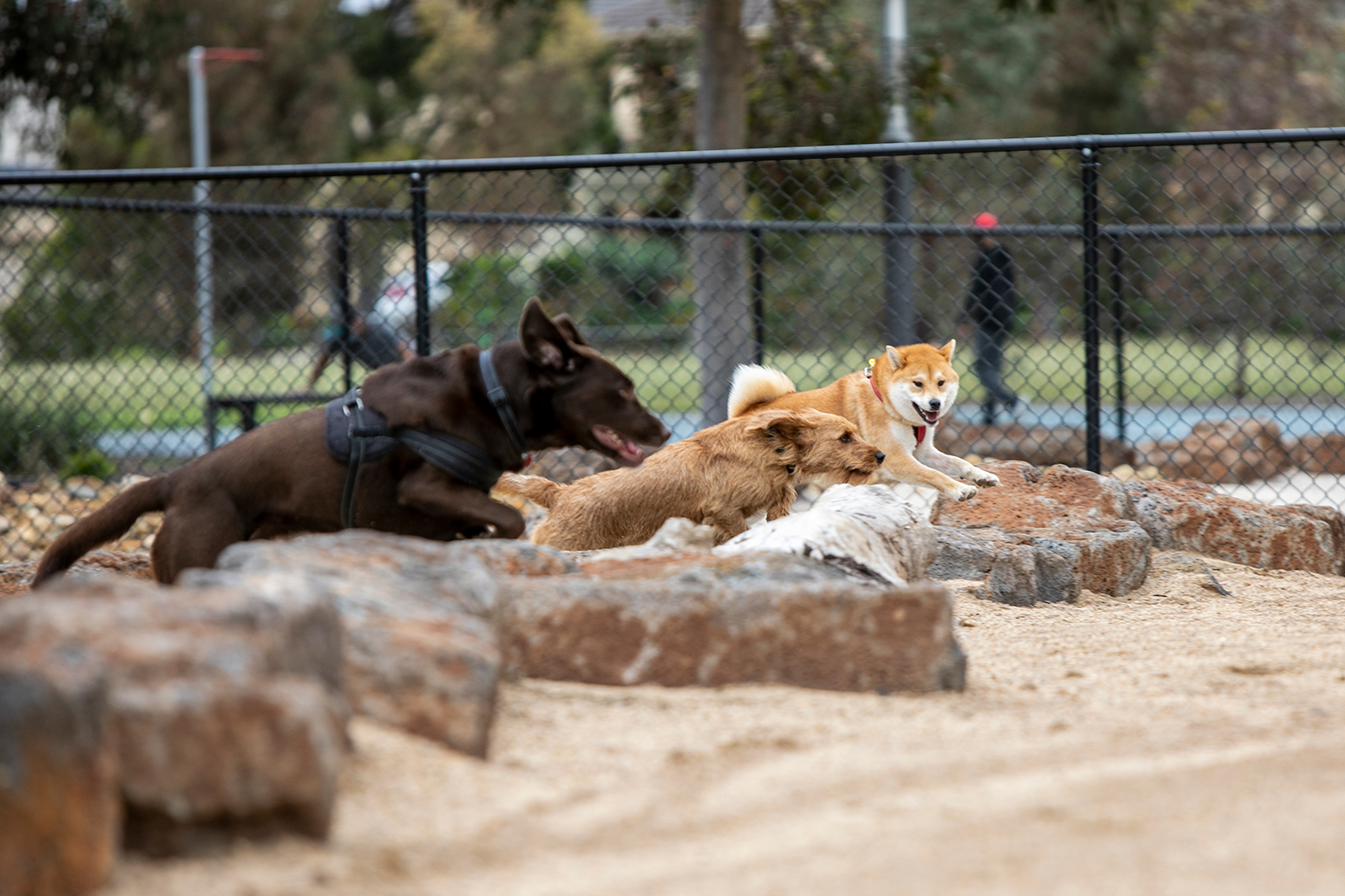 Delahey Enclosed Offleash Dog Park Your Say Brimbank