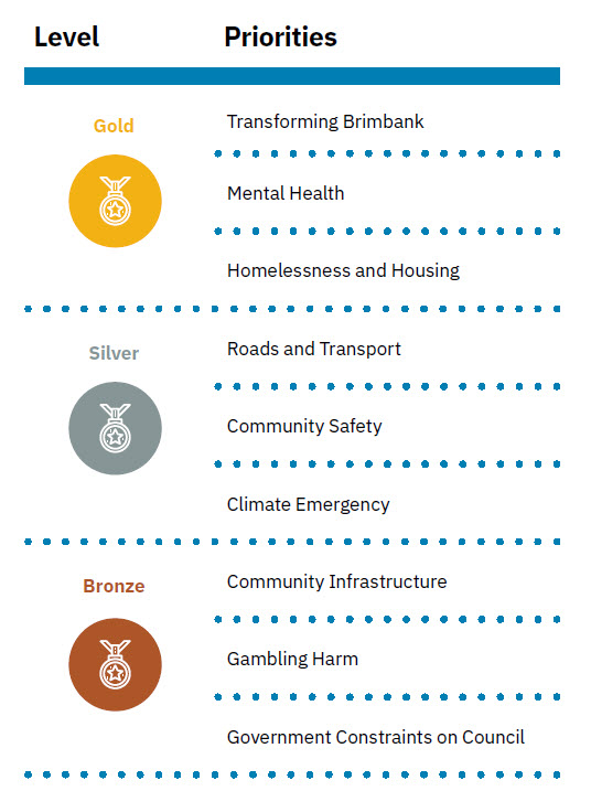 inforgraphic summarising advocacy priorities ranked as gold silver or bronze tier