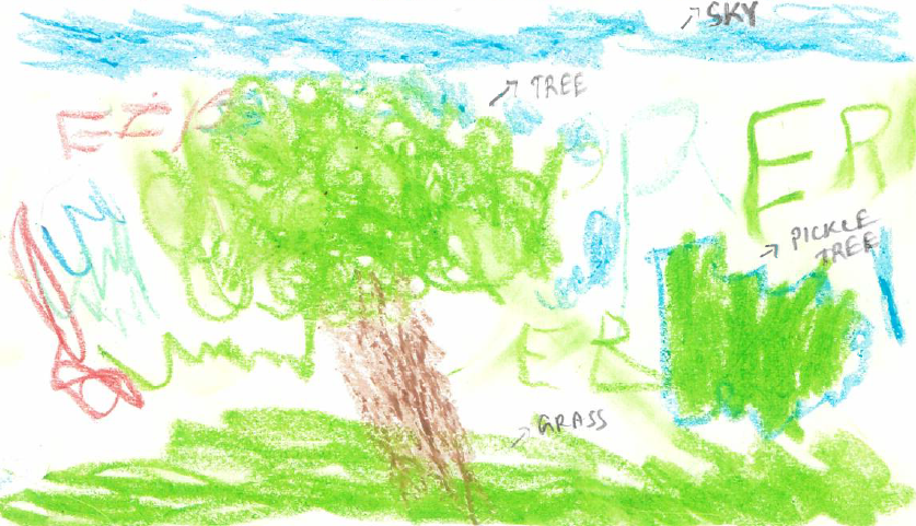 Drawing of trees by 4 year old