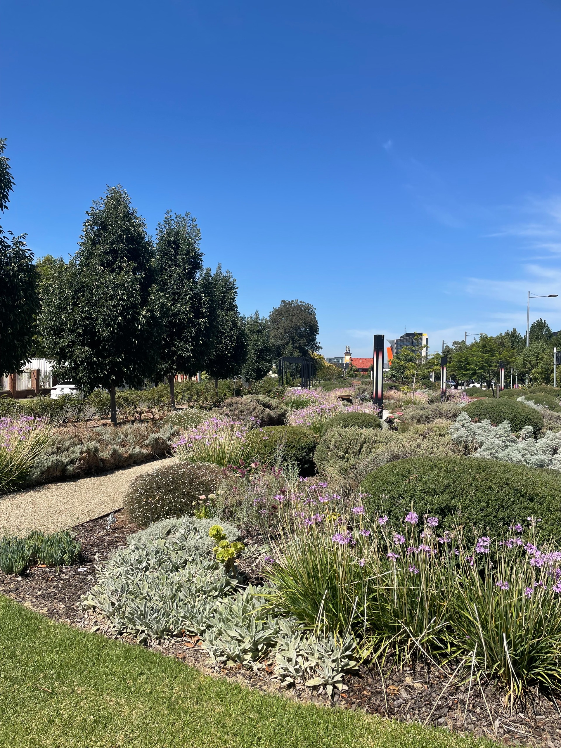 A maintained garden of exotic and indigenous plants, with a gravel path and dedicated garden beds