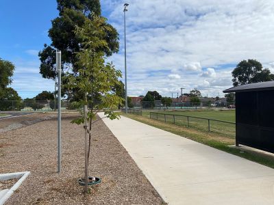 Photo of Simmie Street looking south